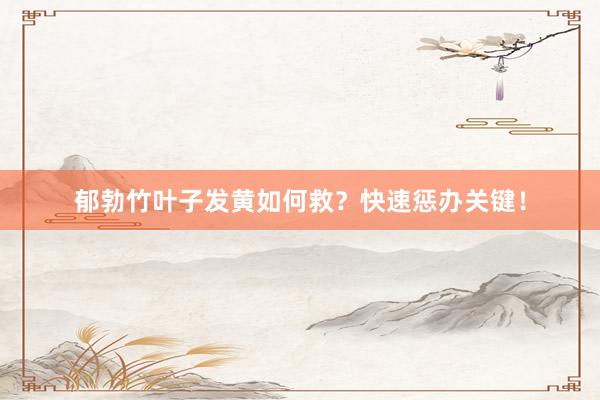 郁勃竹叶子发黄如何救？快速惩办关键！
