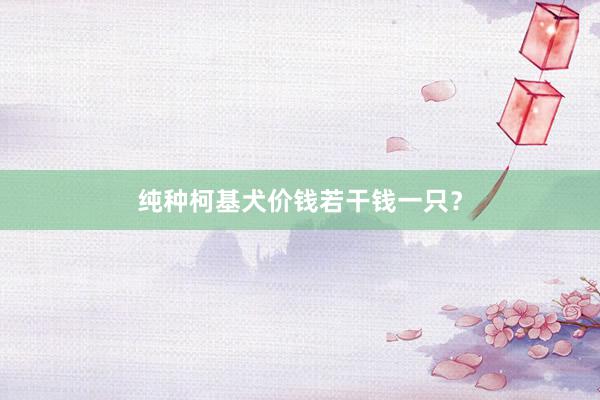 纯种柯基犬价钱若干钱一只?